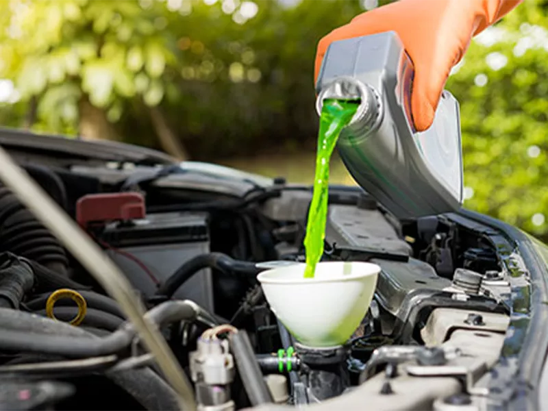 Mineral Oils and Petroleum Jelly