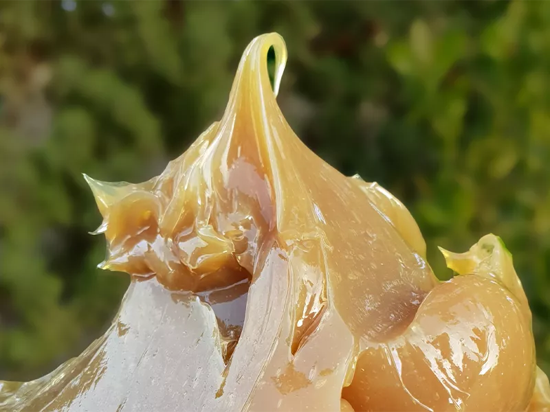 Mineral Oils and Petroleum Jelly