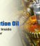 Why Is Your Refrigeration Oil Turning to Gel Inside the Evaporator